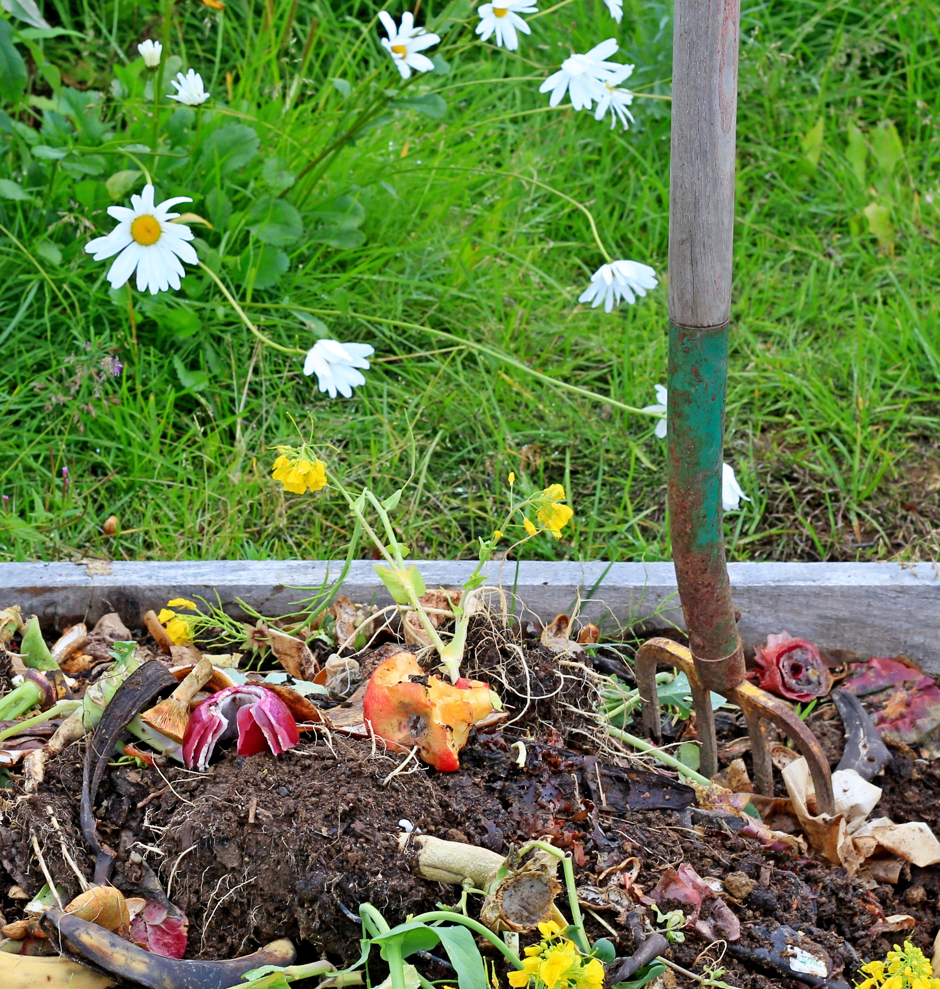 Končno zopet očiščeni kompostniki in popolnoma urejen vrt